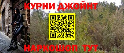 трава Лесосибирск