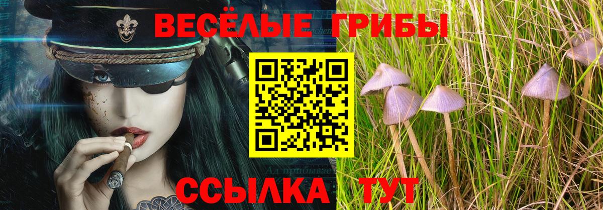 Избербаш  Галлюциногенные грибы MAGIC MUSHROOMS  Вход с VPN 